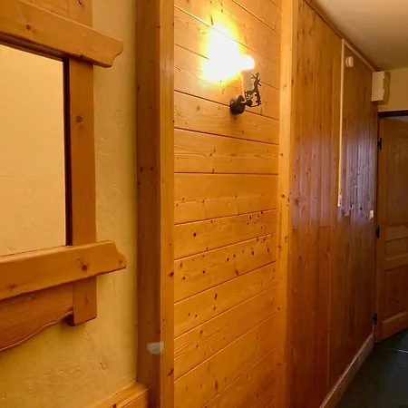 Duplex Sous Les Toits, Pied Des Pistes, Animaux Admis - Fr-1-811-37 * Les Deux Alpes